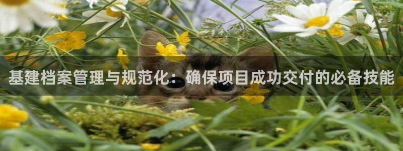 华润娱乐还
